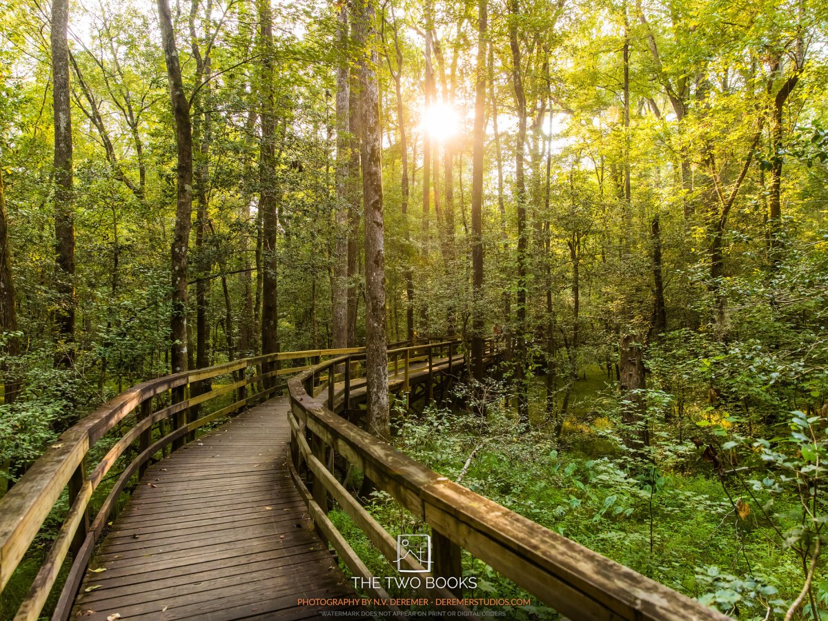 …BUT IS IT&nbsp;BEST?