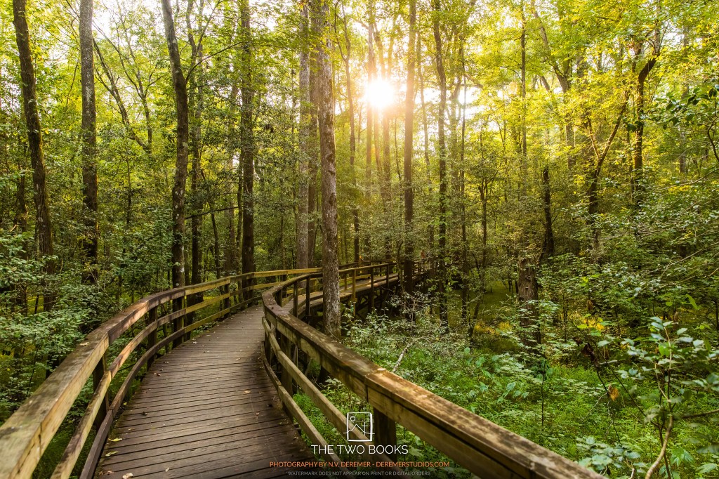 The 2 Books - Congaree national Park - Raised Boardwalk - NV Deremer - But is it Best Article