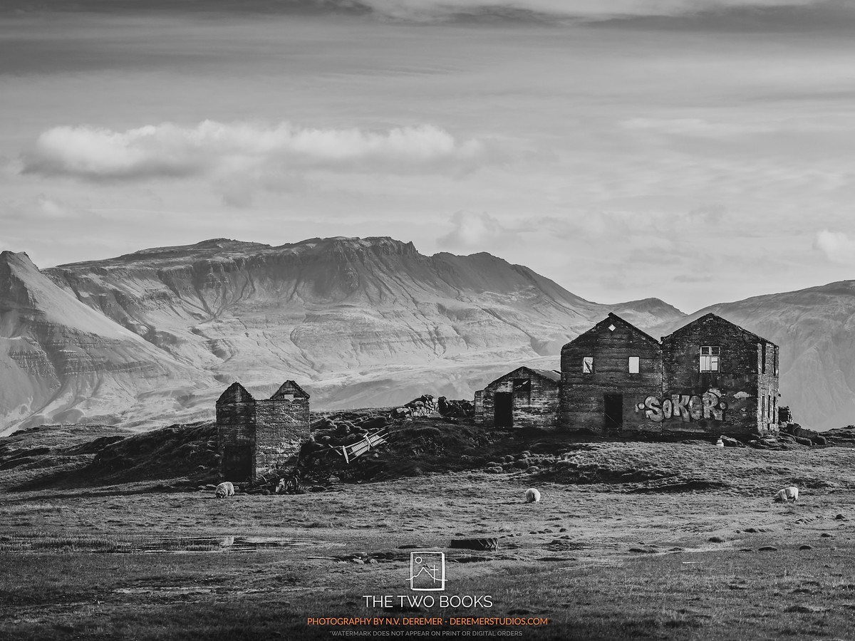 WHAT HAVE WE&nbsp;BECOME?