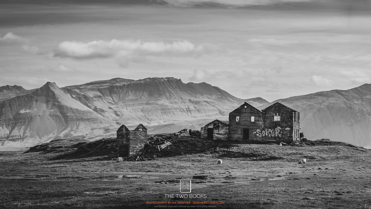 WHAT HAVE WE&nbsp;BECOME?