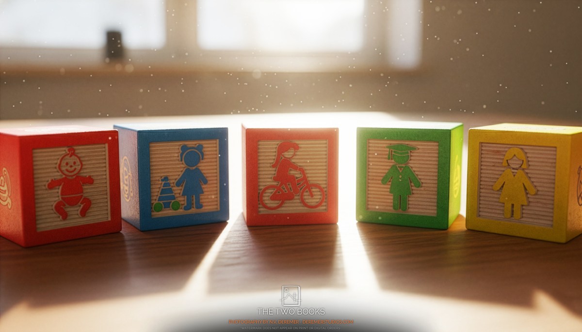 THE STRATEGIC PARENT: AN&nbsp;INTRODUCTION